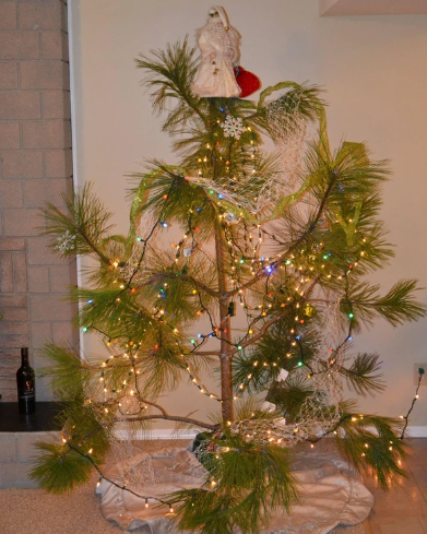 XX-MAS